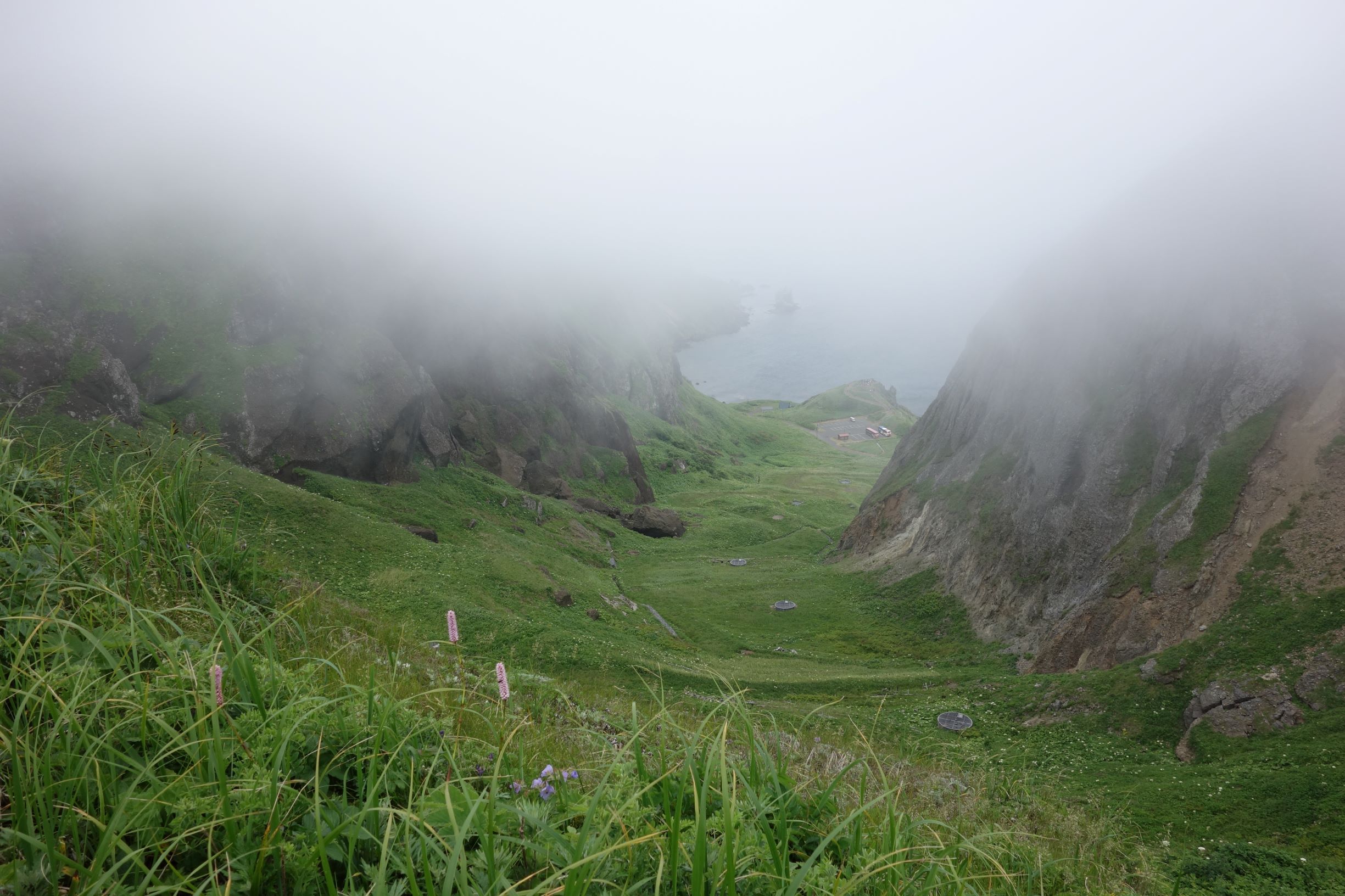 北海道/礼文島（恐竜が出そうな雰囲気のニュージーランドにも似たまさしく秘境でした）