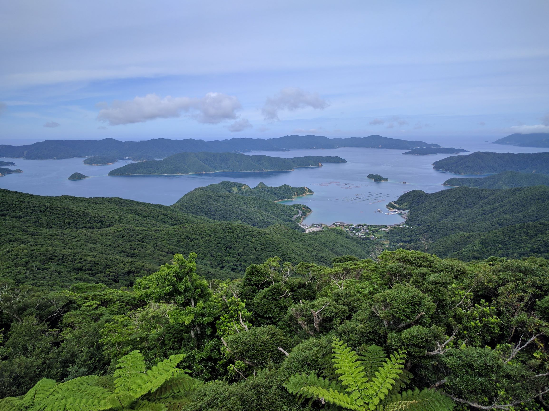 奄美大島(島はやっぱりいいですね!飛行機乗り継いで遠いですが◎)